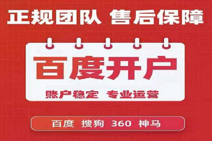 行业领先！某某sem推广公司助力某品牌实现业绩翻倍